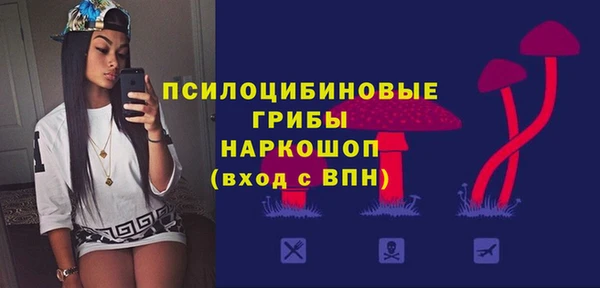твердый Абаза