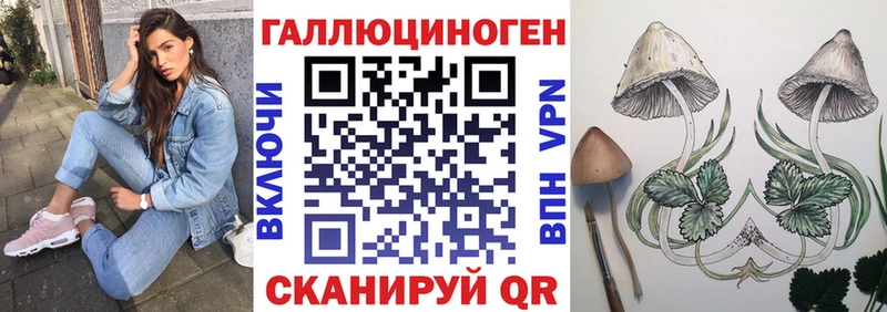 где купить наркоту  Майский  Псилоцибиновые грибы ЛСД 