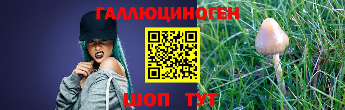 Псилоцибиновые грибы GOLDEN TEACHER Майский