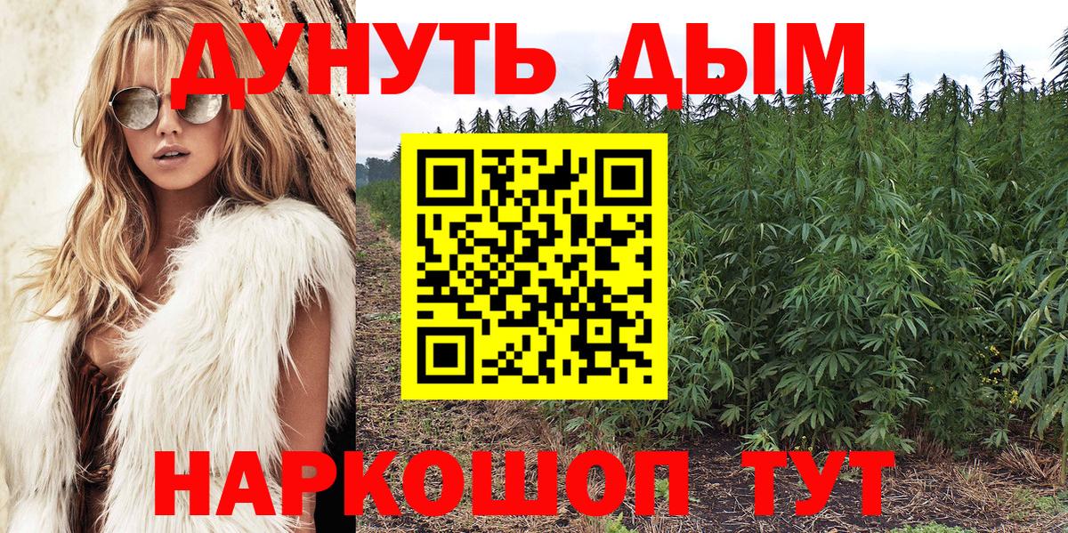 Шишки марихуана планчик Майский